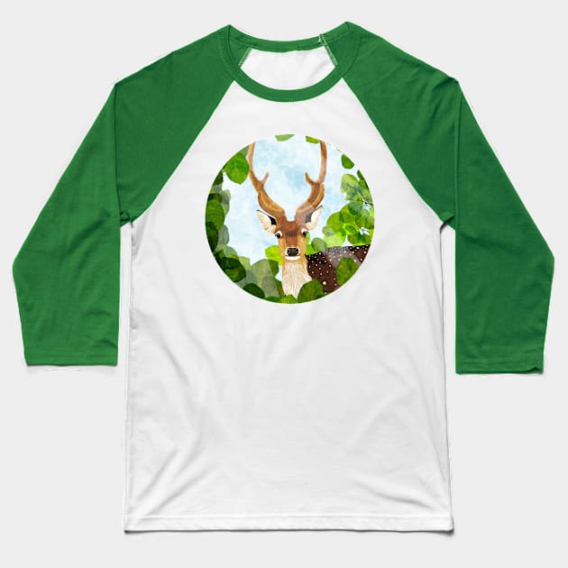 fallow deer Baseball T-Shirt by KatherineBlowerDesigns